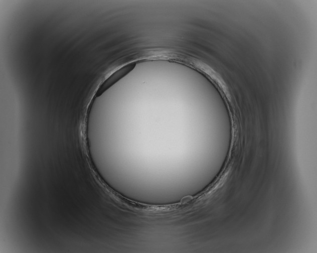 X0000099491481200805150917