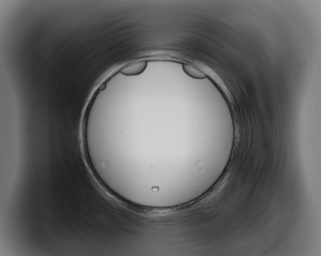 X0000099491482200805150917