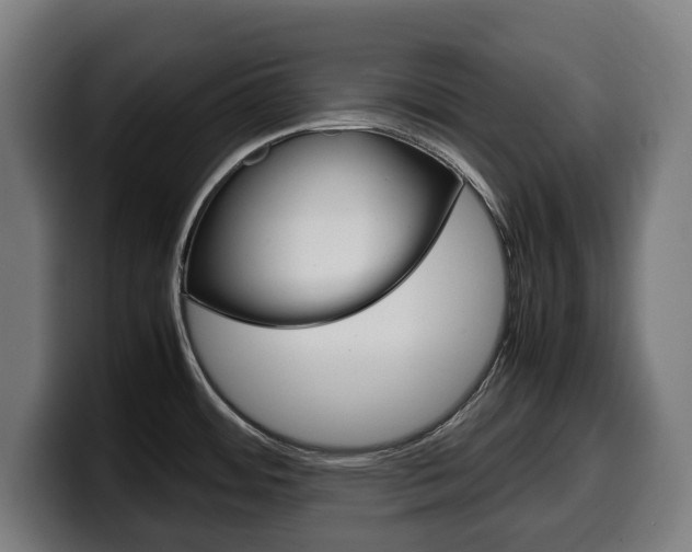 X0000099491484200805150917
