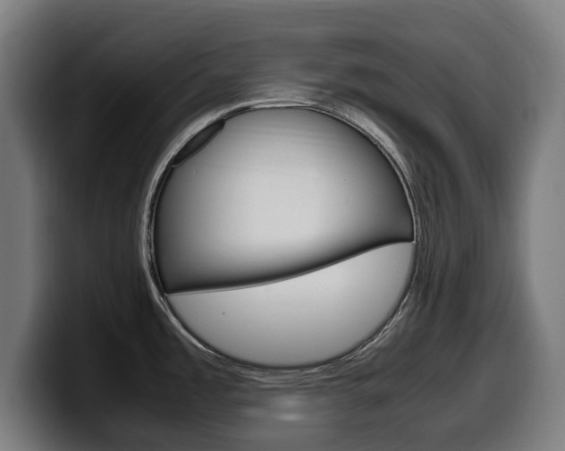 X0000099491485200805150917