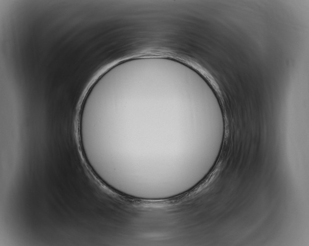X0000099491486200805150917