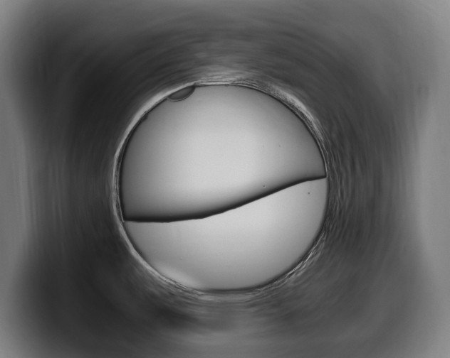 X0000099491487200805150917