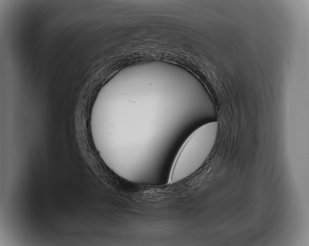 X0000099491489200805150917