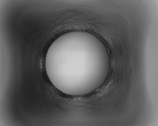 X0000099491490200805150917