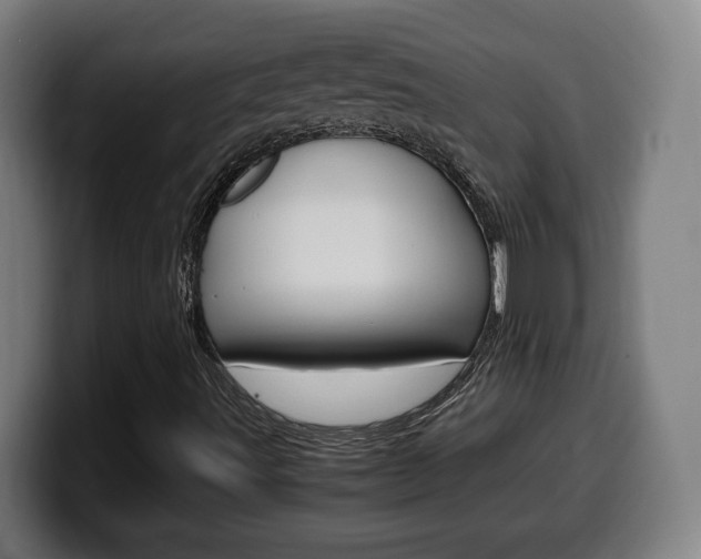 X0000099491491200805150917