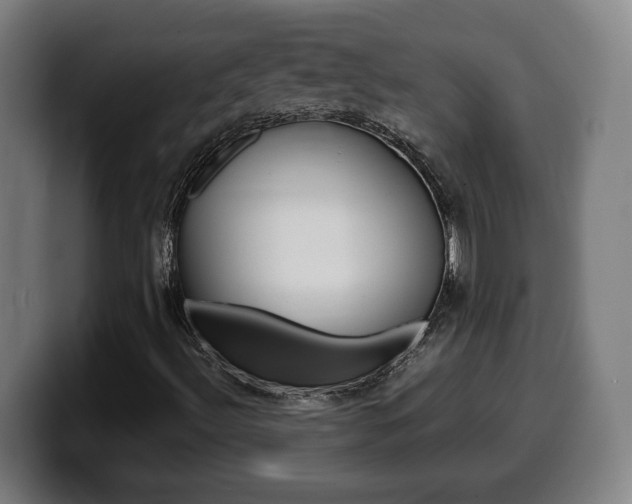 X0000099491492200805150917