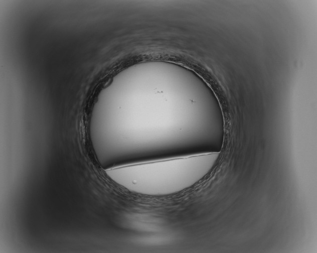 X0000099491493200805150917