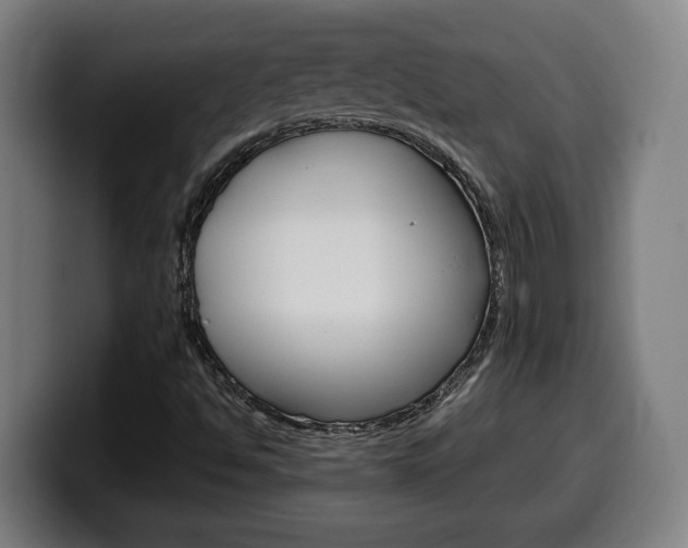 X0000099491494200805150917