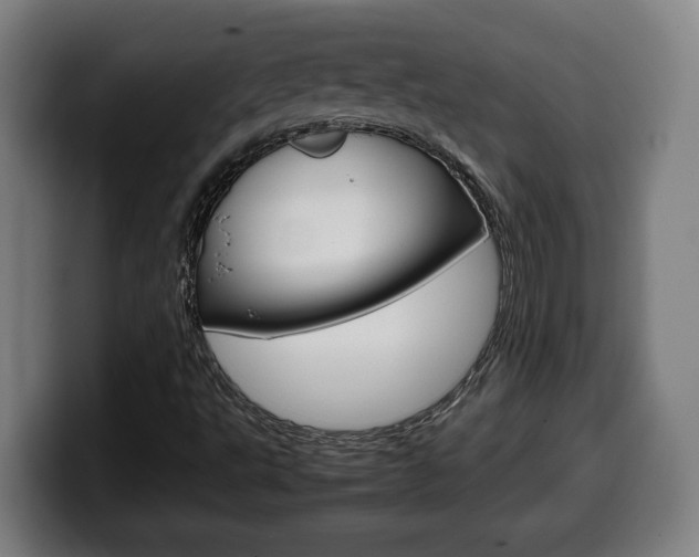 X0000099491495200805150917