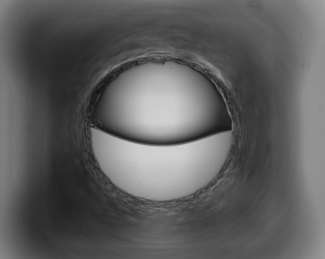 X0000099491496200805150917