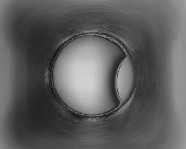 X0000099491497200805150917