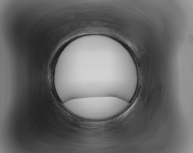 X0000099491498200805150917