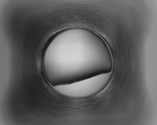 X0000099491499200805150917