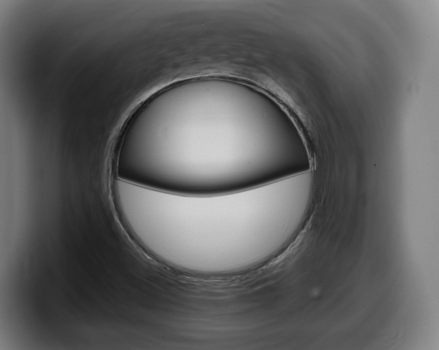 X0000099491500200805150917