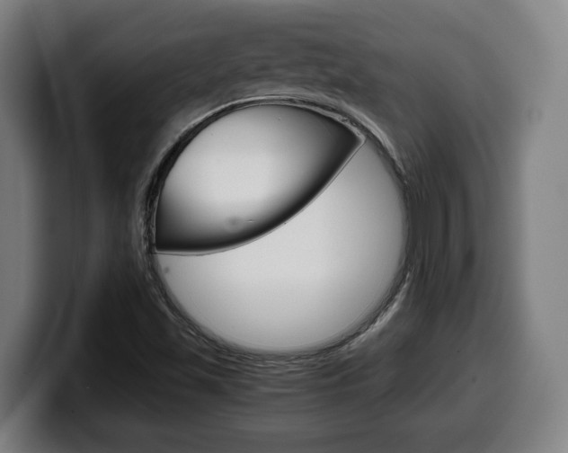 X0000099491501200805150917