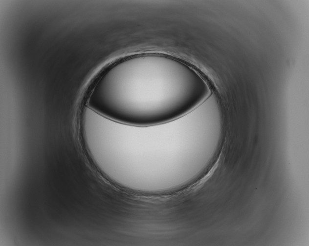 X0000099491502200805150917