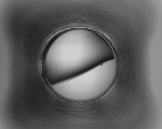X0000099491503200805150917