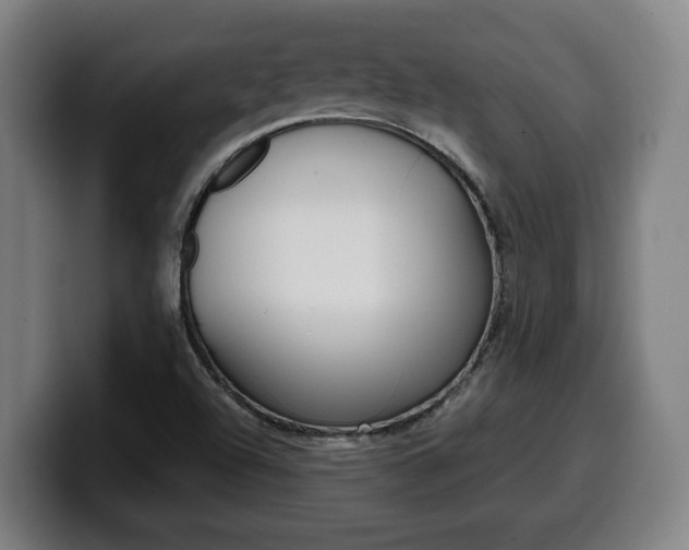 X0000099491504200805150917