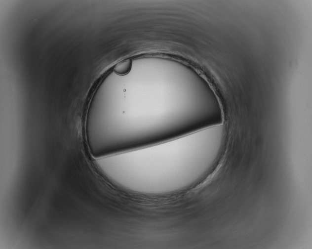 X0000099491505200805150917