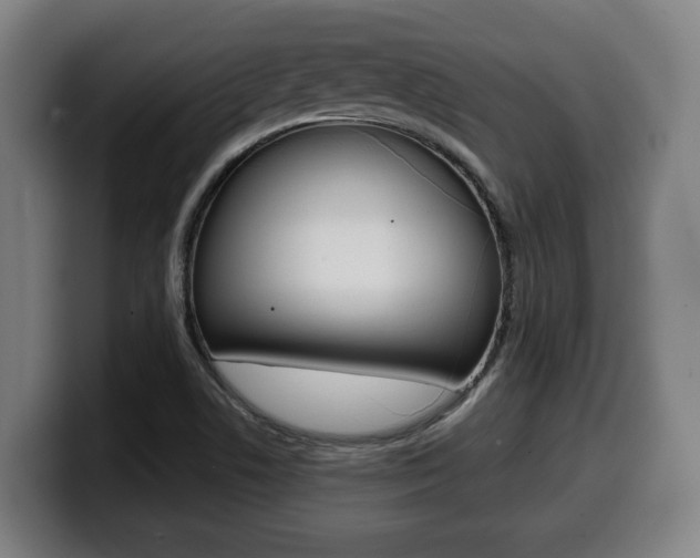 X0000099491506200805150917