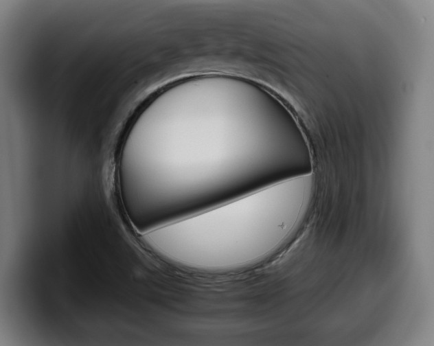 X0000099491507200805150917