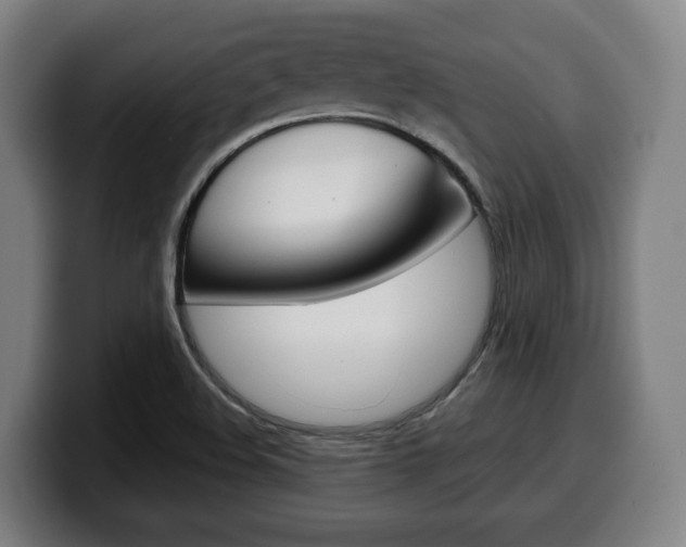 X0000099491508200805150917