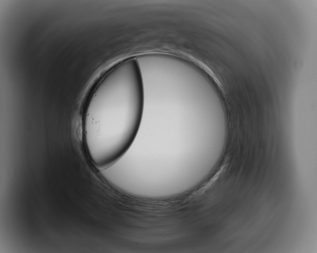 X0000099491509200805150917
