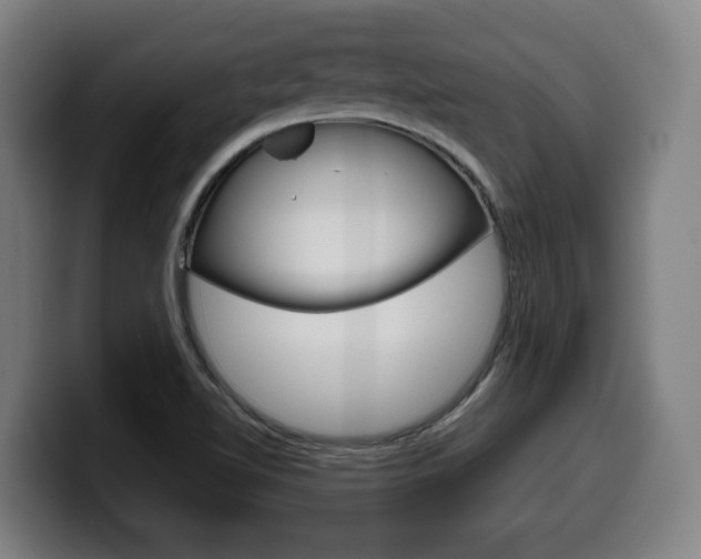 X0000099491510200805150917