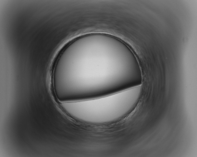X0000099491511200805150917