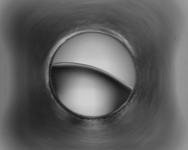 X0000099491512200805150917