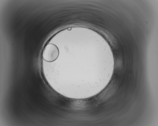 X0000099491514200805150917