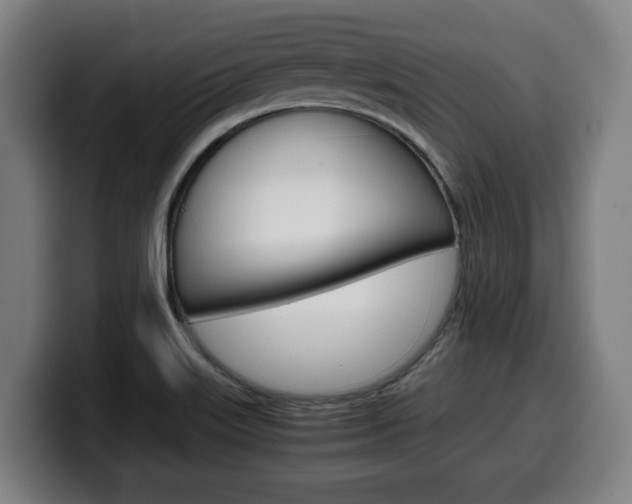 X0000099491515200805150917