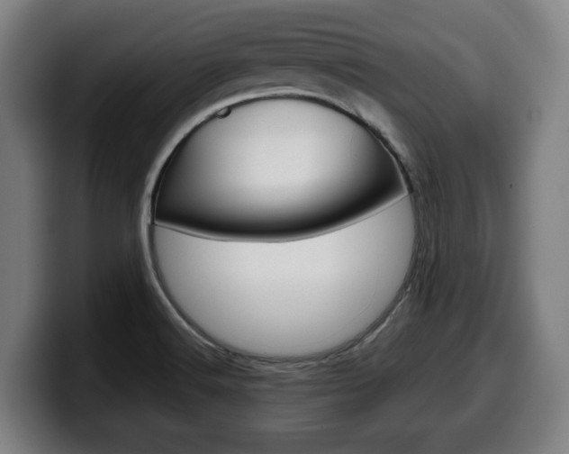 X0000099491516200805150917