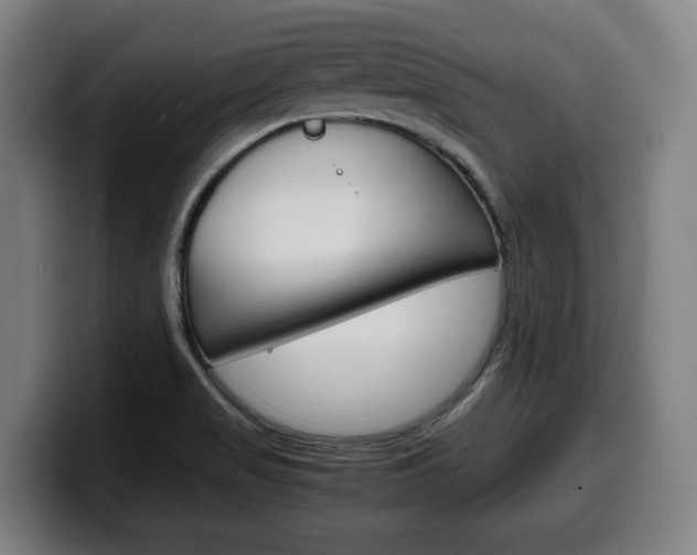 X0000099491517200805150917