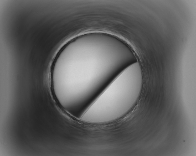 X0000099491519200805150917