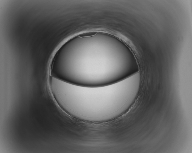 X0000099491520200805150917