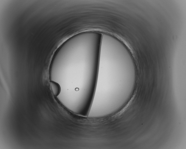 X0000099491521200805150917