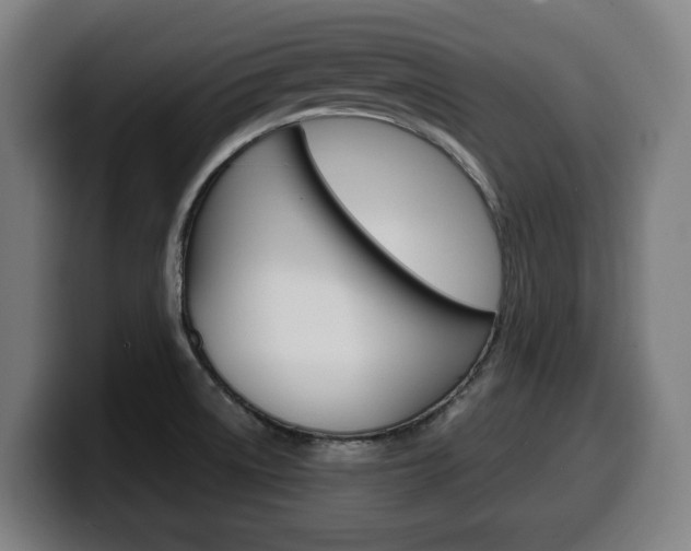 X0000099491522200805150917