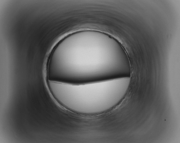 X0000099491523200805150917