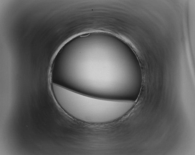 X0000099491524200805150917