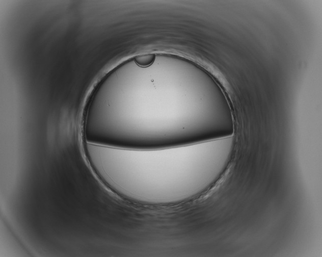 X0000099491525200805150917