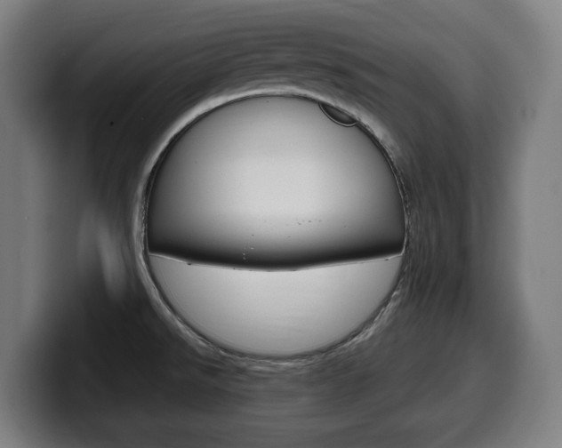 X0000099491526200805150917