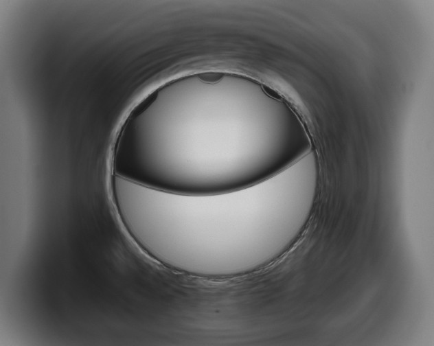 X0000099491528200805150917