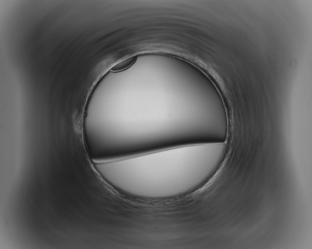 X0000099491529200805150917