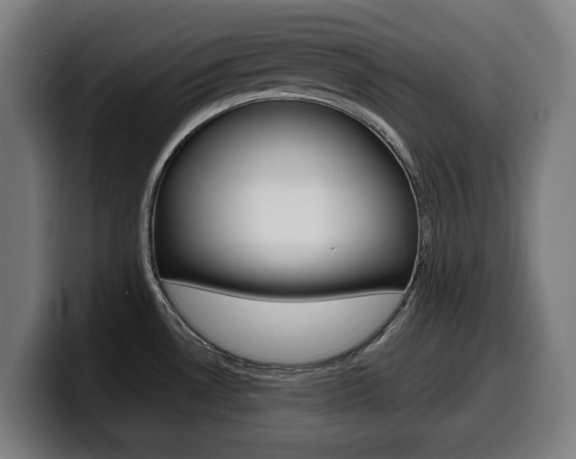 X0000099491530200805150917