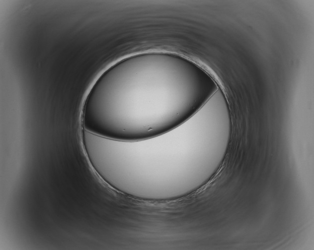 X0000099491532200805150917