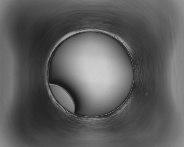 X0000099491534200805150917