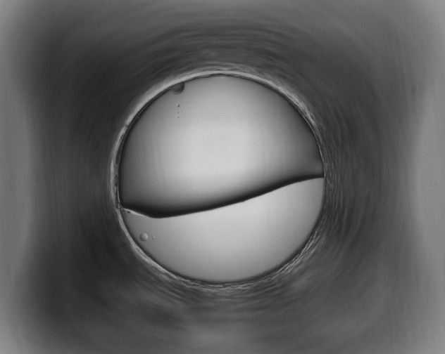 X0000099491535200805150917