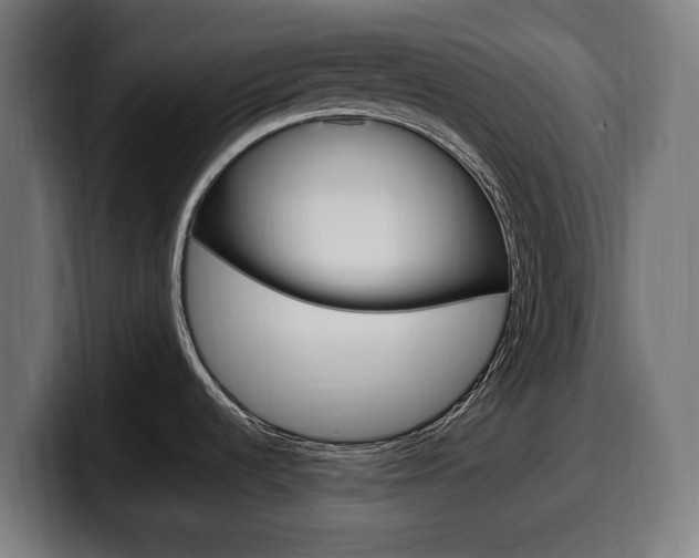 X0000099491536200805150917