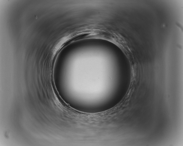 X0000099490003200805151418
